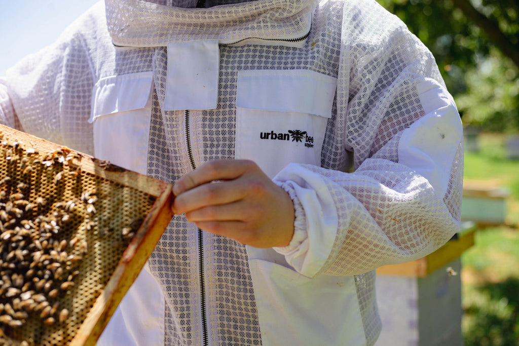 6 ways to join the beekeeping community - PerfectBee