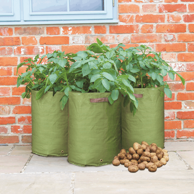 How To Make Custom Sized Potato Grow Bags & Planting PT 1 