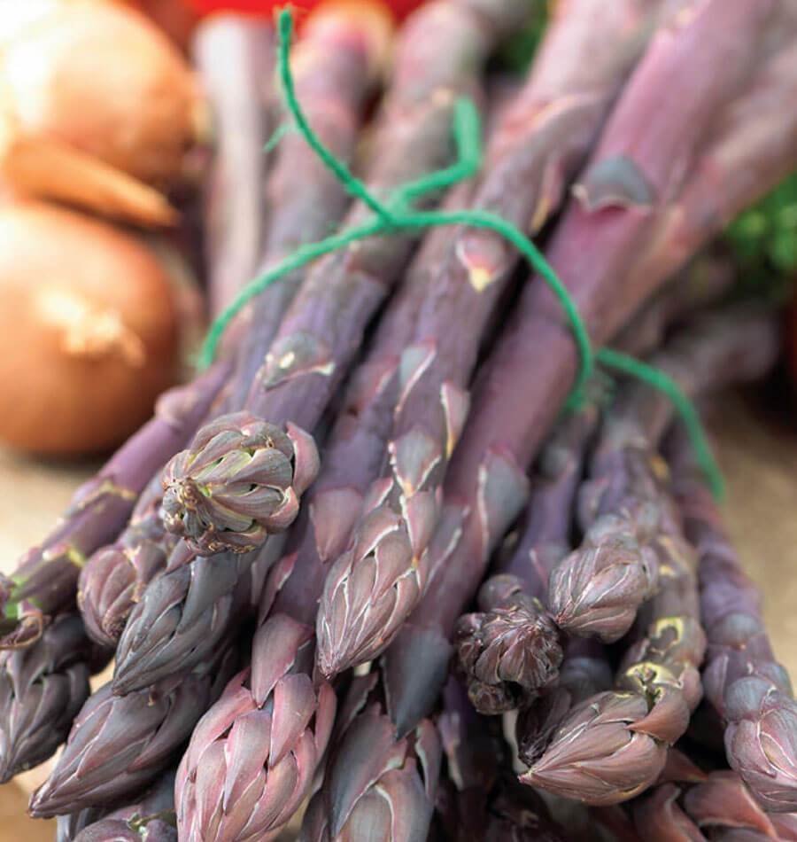 Purple Asparagus Crowns West Coast Seeds