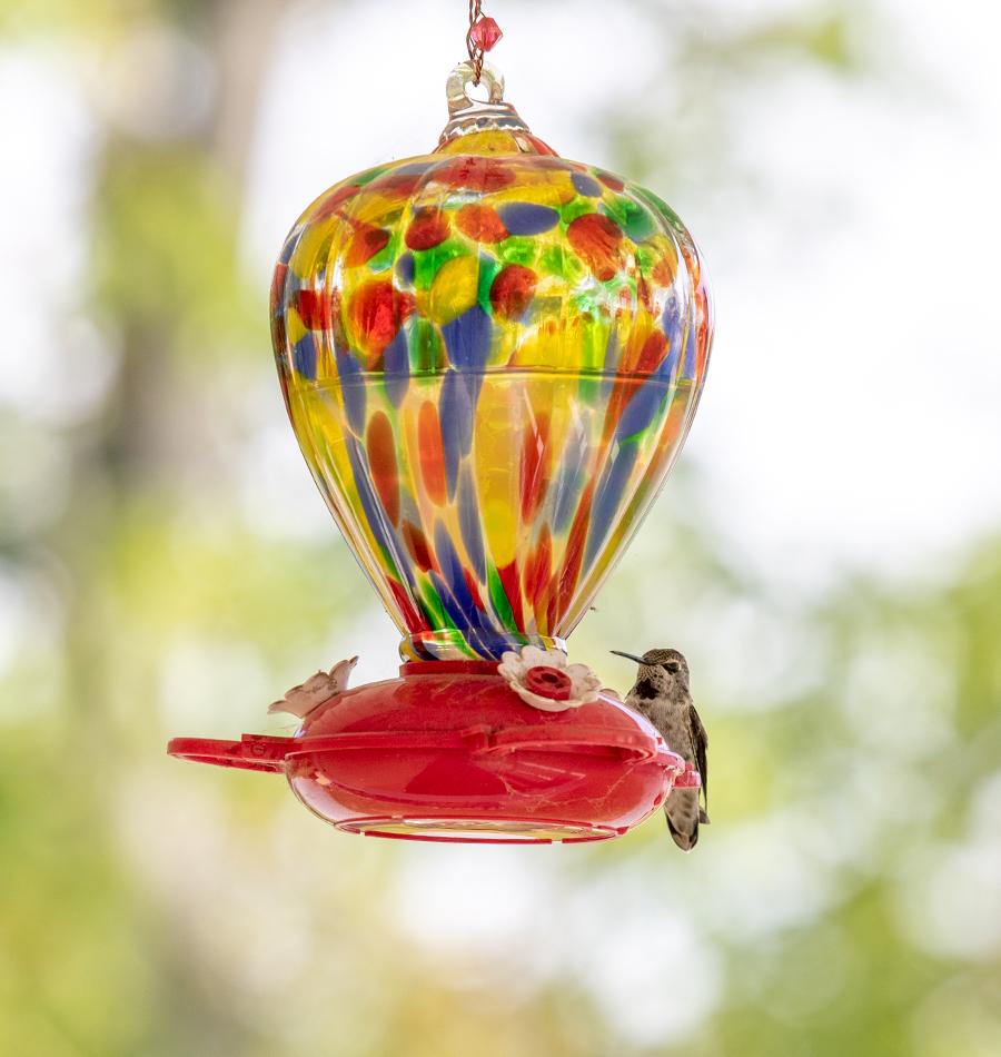 Balloon Hummingbird Feeder – West Coast Seeds