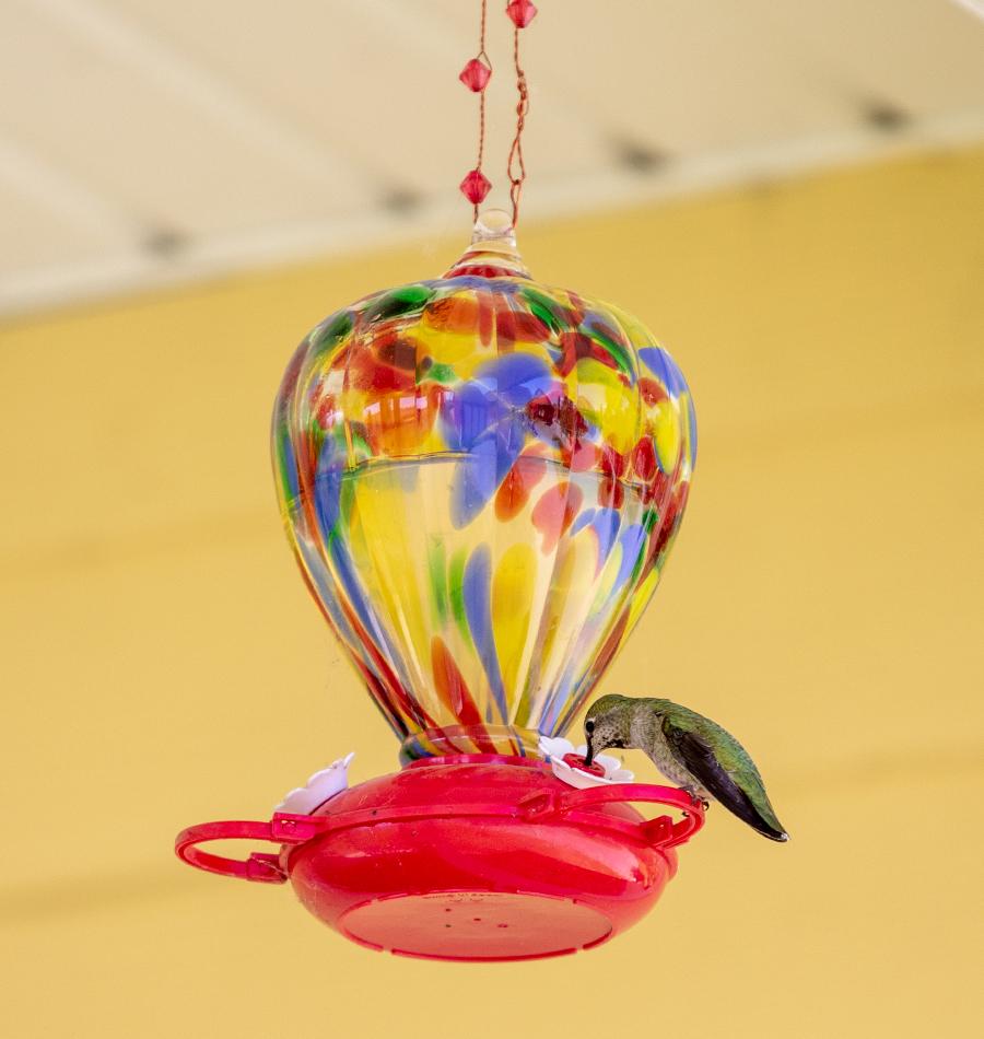 Balloon Hummingbird Feeder – West Coast Seeds