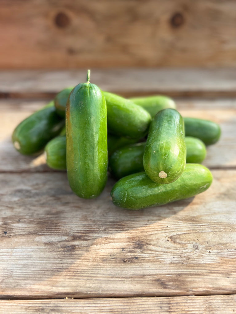 Organic Non-GMO Minime F1 Cucumber