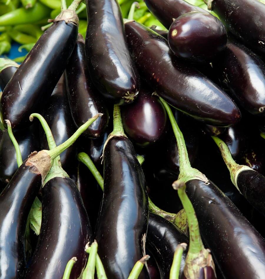 Italian Aubergine - Long Purple Seeds
