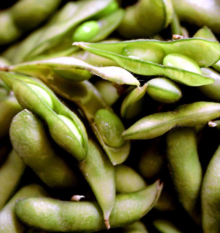 soya beans