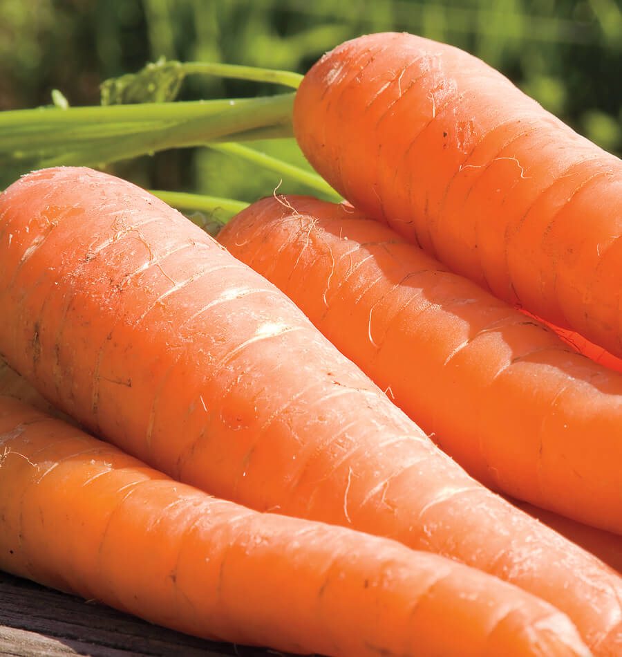 Carrots