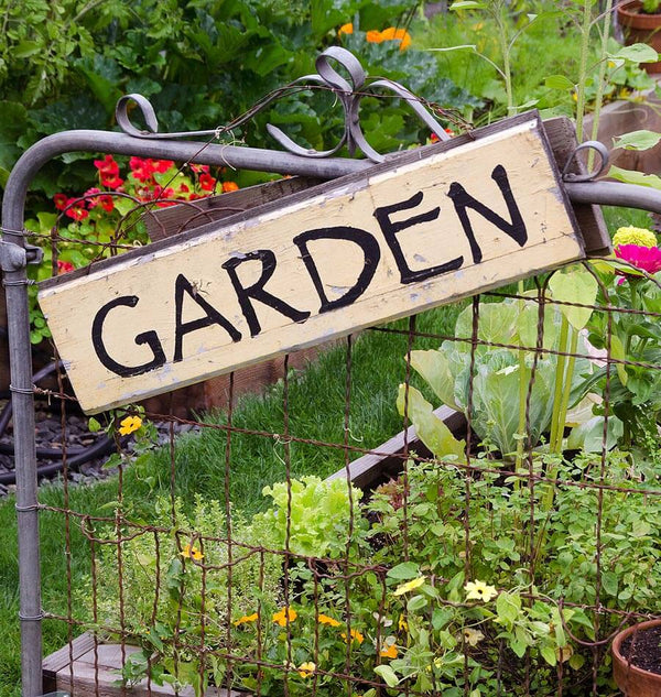 Turning Lawn into a Lasagna Garden