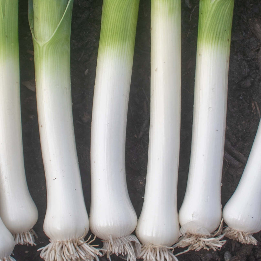 Leeks