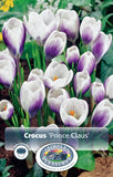 Crocus Prince Claus 20/pk