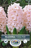 Hyacinthus China Pink 5/pk