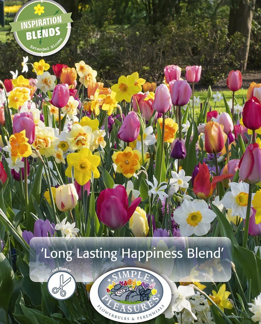 Long Lasting Happiness Blend 18/pk