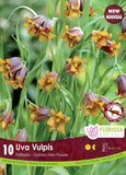 Fritillaria Uva Vulpis 10/pk