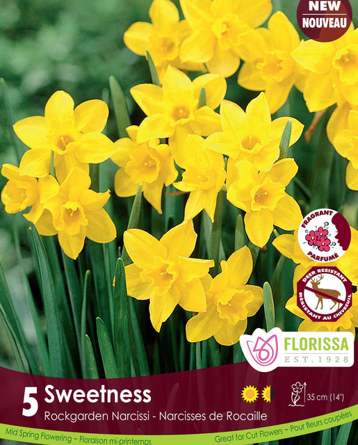 Narcissus Sweetness 5/pk