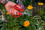 Garden Scissors