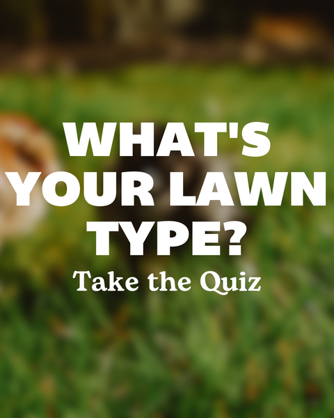 What's Your Lawn Type?