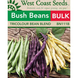 Tricolour Bush Beans Bulk Size