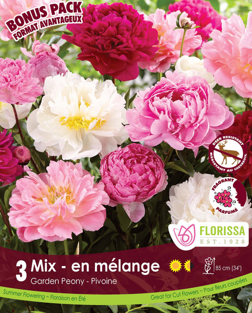 Peony Fragrant Mix 3pk