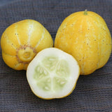 Lemon Cucumber