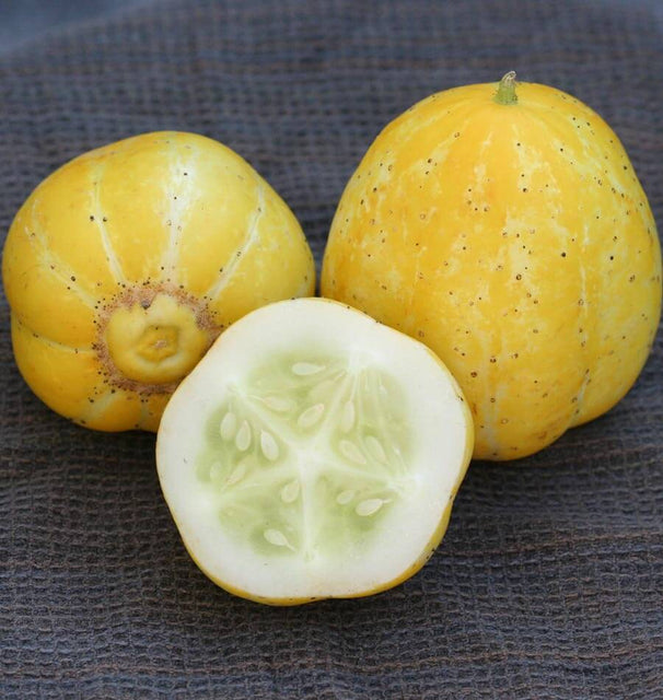 Lemon Cucumber