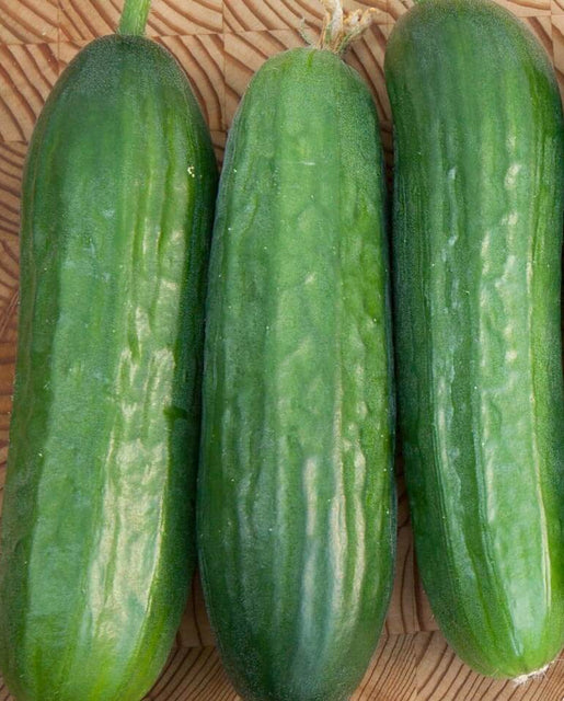 Fresh Organic English Seedless Cucumbers, Mexico, 1 Count - Greenery