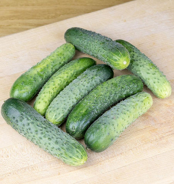 Artist Gherkin Cucumber Seeds