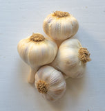 Persian Star Garlic