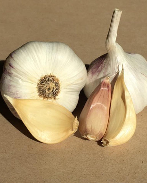 Italian Softneck Organic Garlic