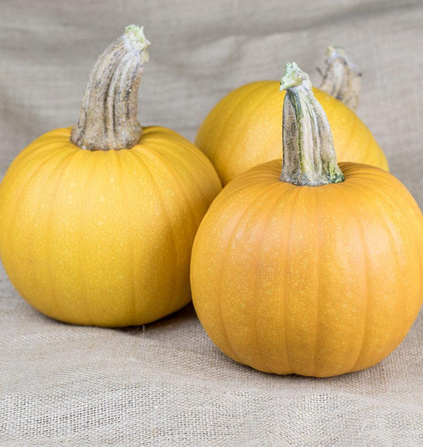 Naked Bear Pumpkin Seeds