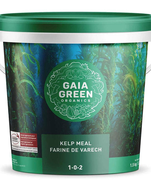 Gaia Kelp Amendment Coast 1-0-2 West Seeds Meal Soil –