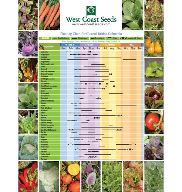 Planting Chart Poster ZHG171-1